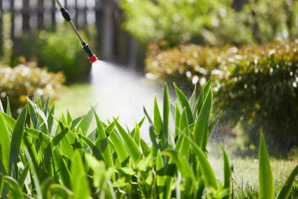 Tamper-Resistant Bait Stations for Rodents in Wilson
