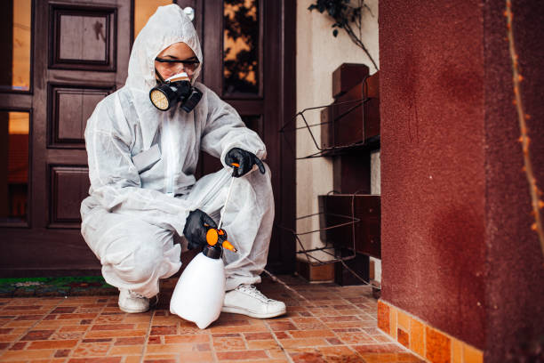 Attic and Crawl Space Rodent Treatment in Wilson