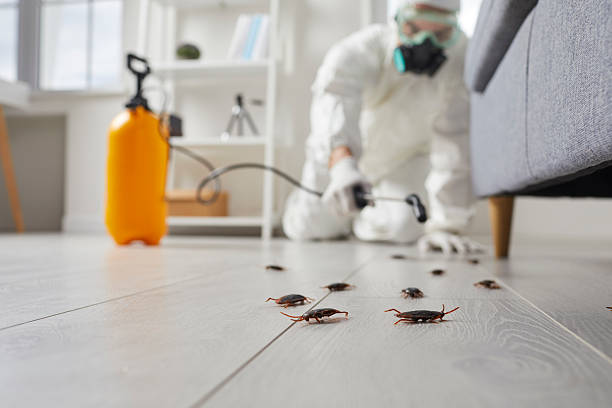 Commercial Rodent Management in Wilson